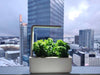 Click & Grow | Smart Garden 3 by Trueform