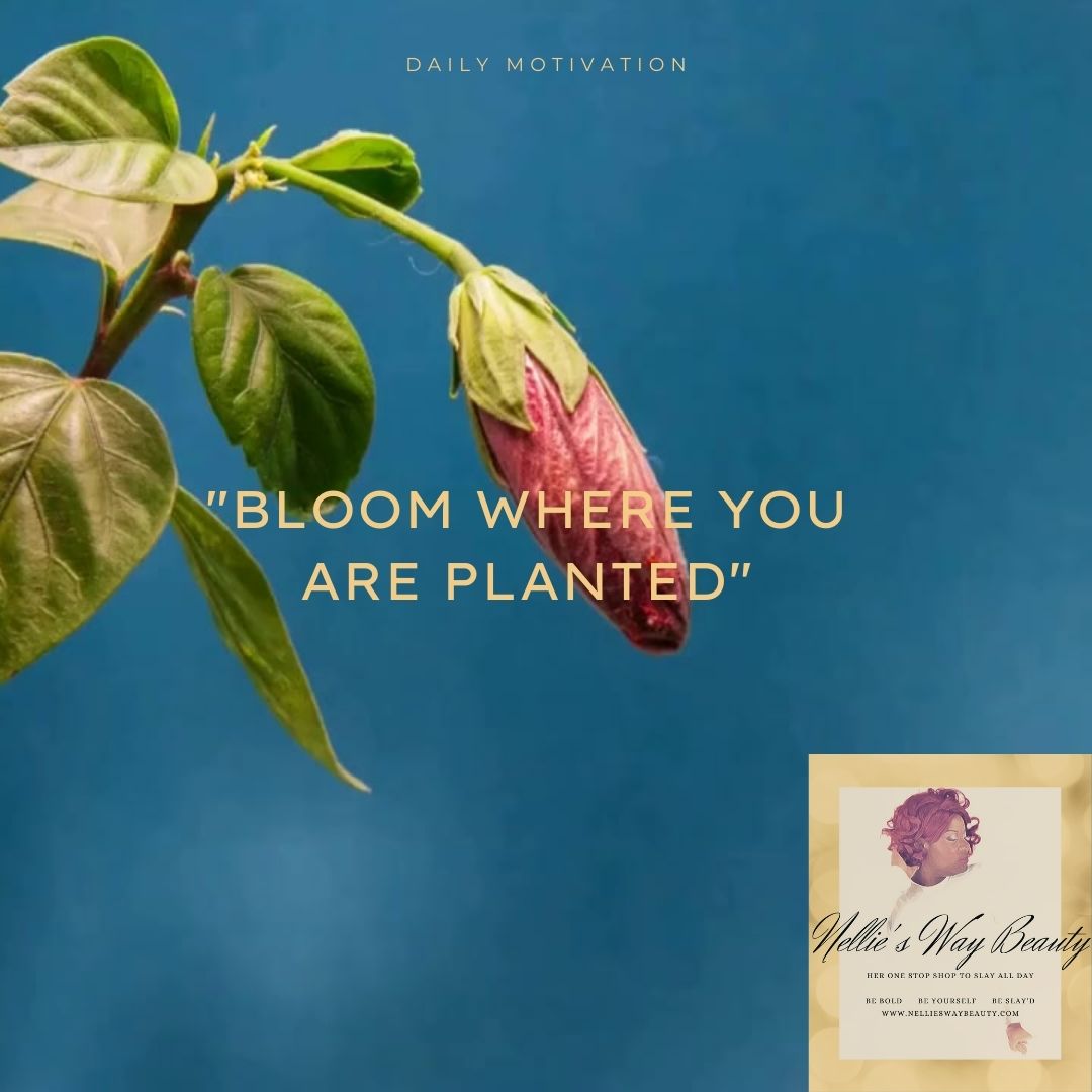 Nellies Way Beauty: Empowering Your Personal Growth Journey