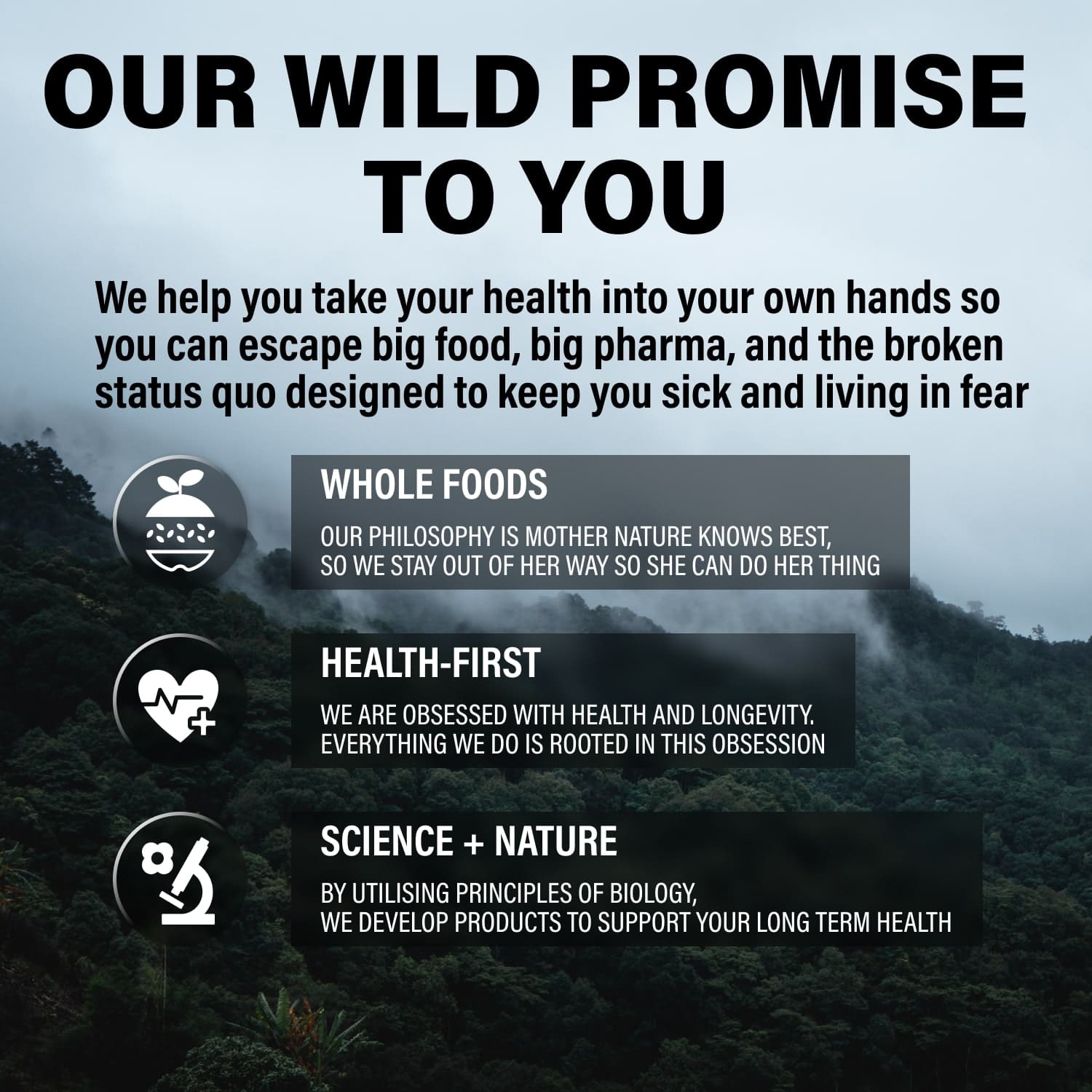 Nellie's Way Beauty, Inc.