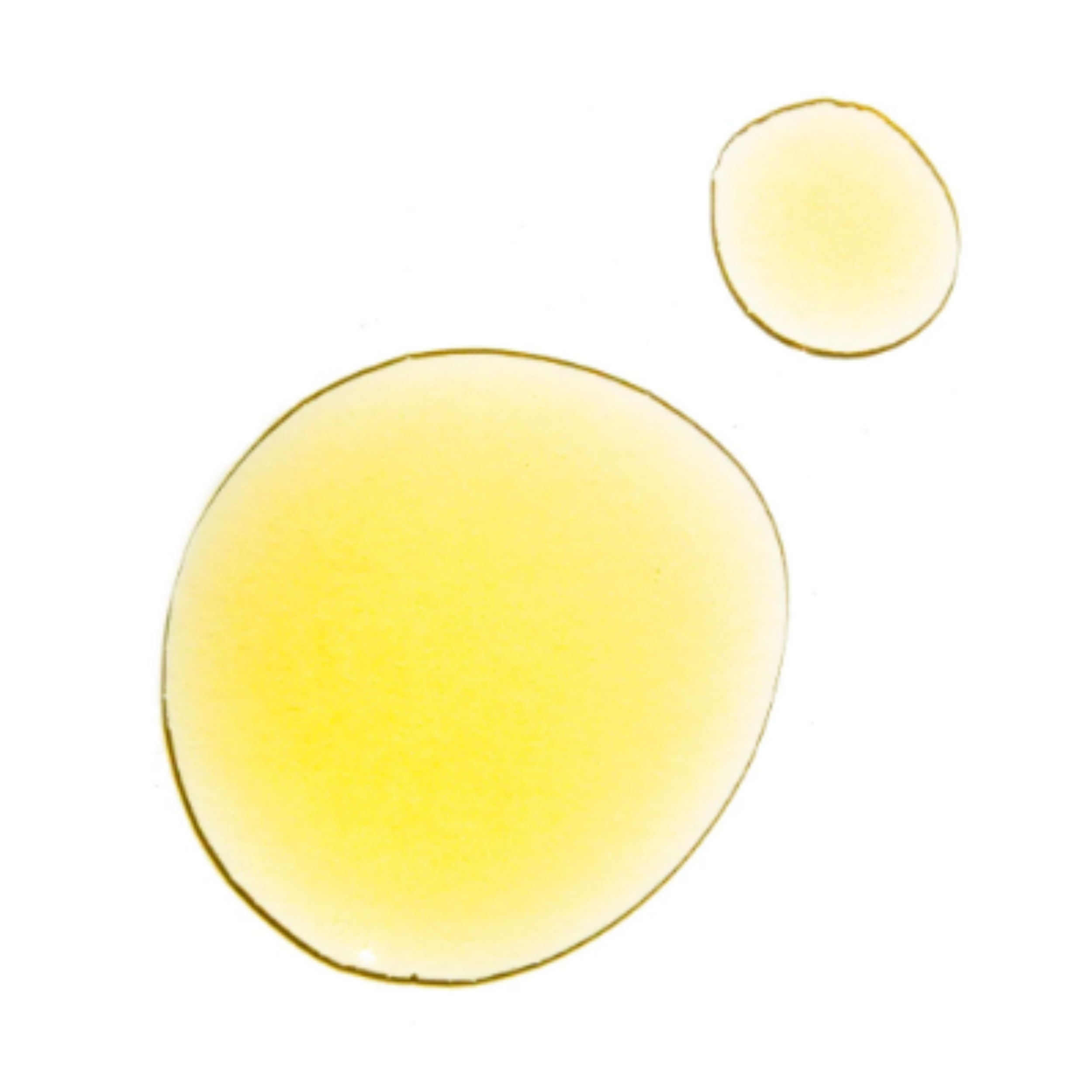 Best Hair Oil 2025 Treatment Styler | Increase Shine / Less Frizz | Wicked Good Hair Day