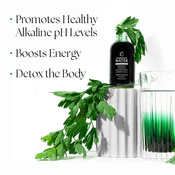 Chlorophyll Water Drops™ | Liquid Chlorophyll Water Drops | Chlorophyll Liquid by Chlorophyll Water - Nellie's Way Beauty, Inc.