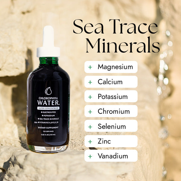 Chlorophyll Water Drops™ | Liquid Chlorophyll Water Drops | Chlorophyll Liquid by Chlorophyll Water - Nellie's Way Beauty, Inc.