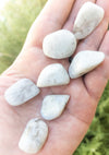 Polished Moonstone Rocks by Whyte Quartz