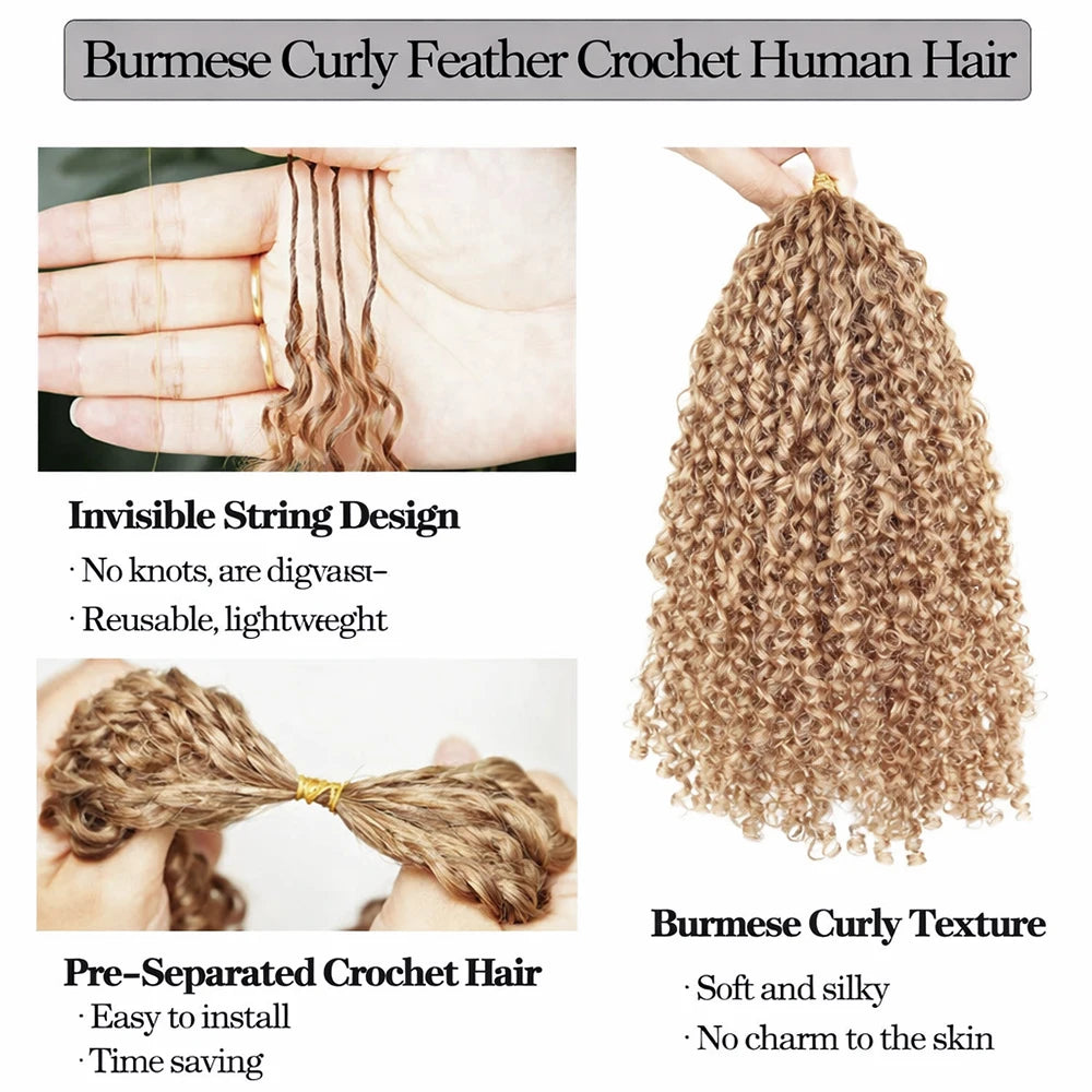 Burmese Kinky Curly #27 Color Honey Blonde Crochet Human Hair For Braids Knotless Pre-Separated Feather Crochet Hair Extensions