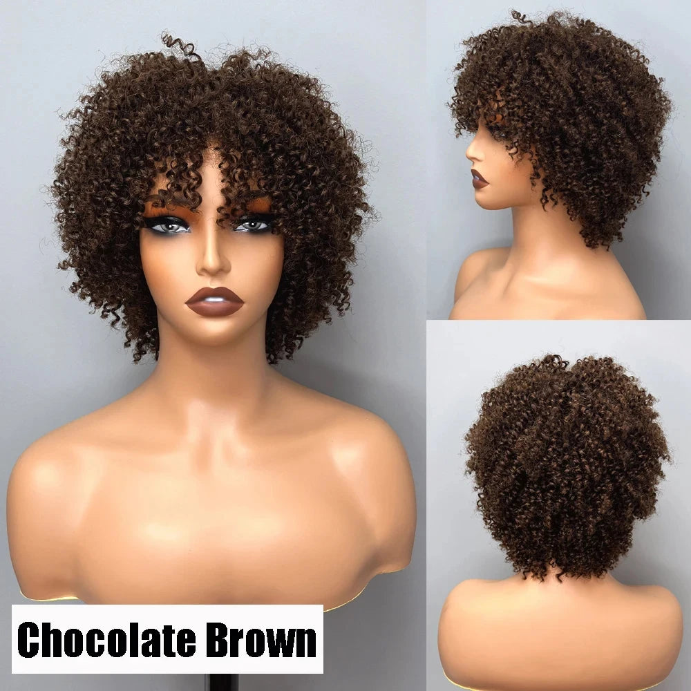 Short Afro Kinky Curly Human Hair Wigs Brazilian Remy 99J Brown Colored Curly Wig Blonde Human Hair Wig With Bang Wigs For Women