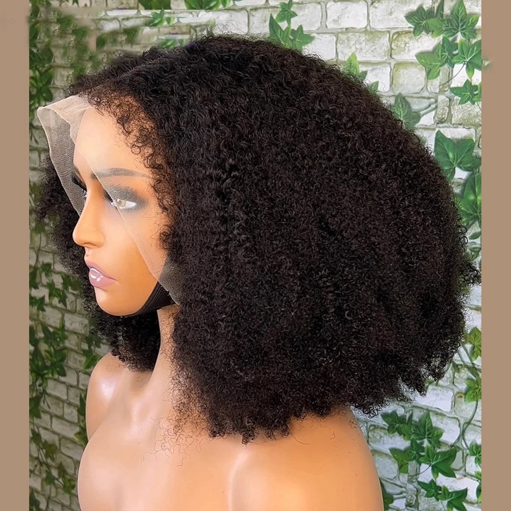 Glueless Soft Black Kinky Curly Lace Front Wig, Baby Hair Pre Plucked, Heat Resistant