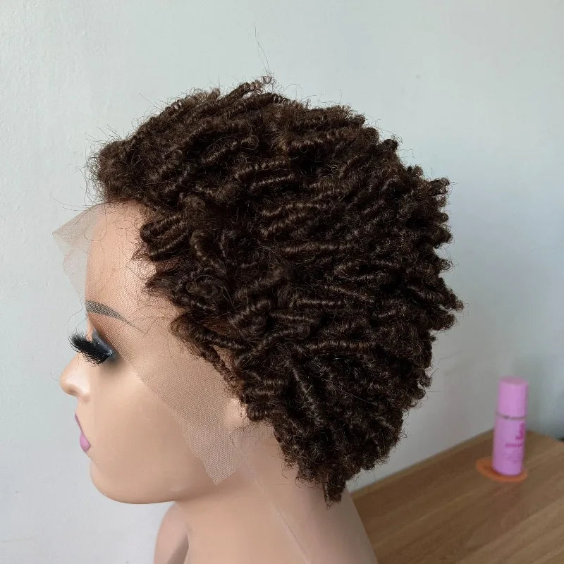 Premium Afro Kinky Curly Human Hair 13x4 Lace Frontal Ear To Ear Glueless Wigs for Women #4 6'' 180% Density Remy Hair Wigs