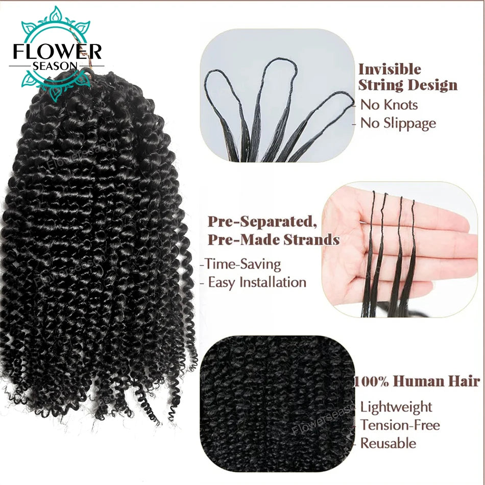 Knotless Pre-Separated Human Hair Afro Kinky Curly, 2 Bundles Per Pack