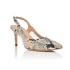 Dance Natural Printed Wild Snake/Clear Mesh by Joan Oloff Shoes