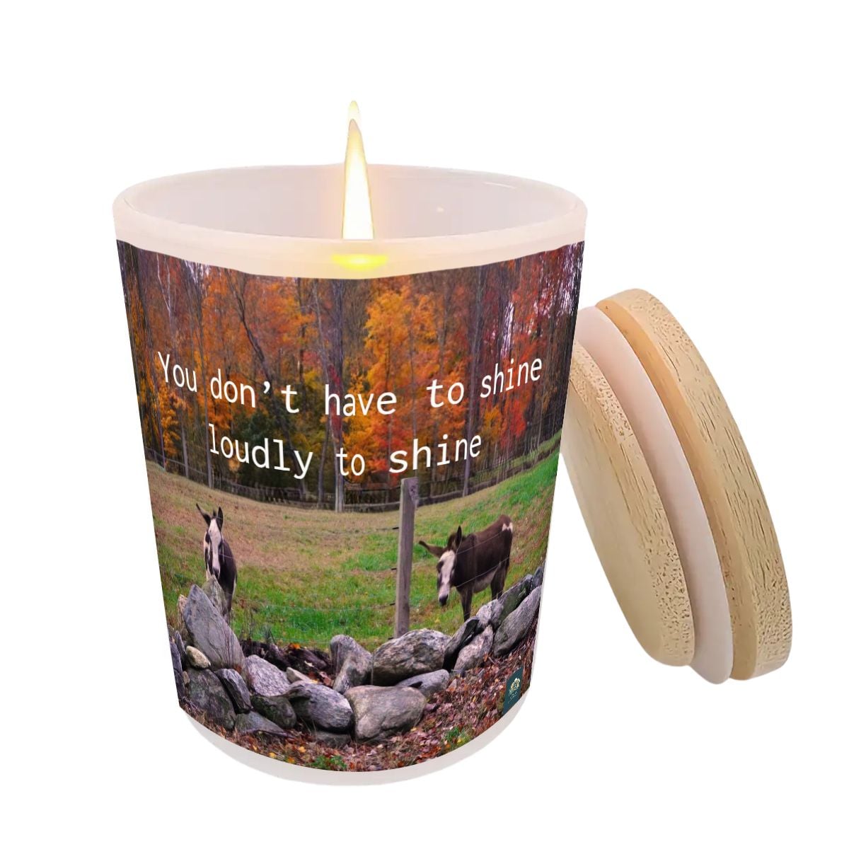 Donkeys photography 6 oz frosted glass soy wax scented candle