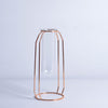 Glass Hydroponic Wire Metal Geometric Vase by Blak Hom