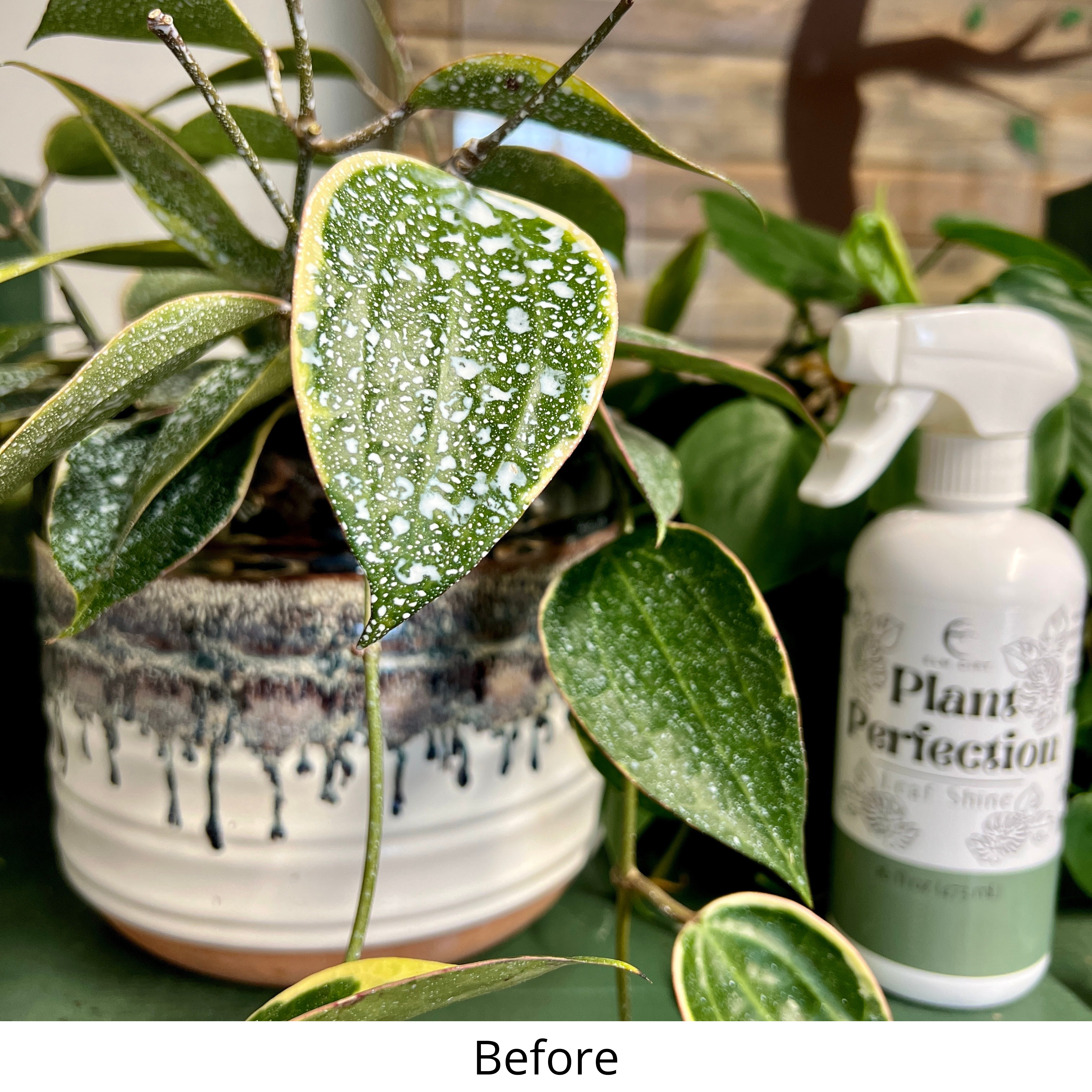 Nellie's Way Beauty, Inc.