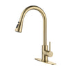 Kitchen Faucet with Pull Out Sprayer