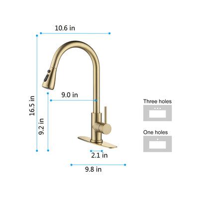 Kitchen Faucet with Pull Out Sprayer