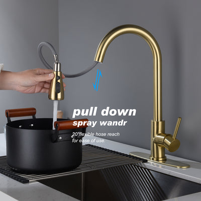 Kitchen Faucet with Pull Out Sprayer