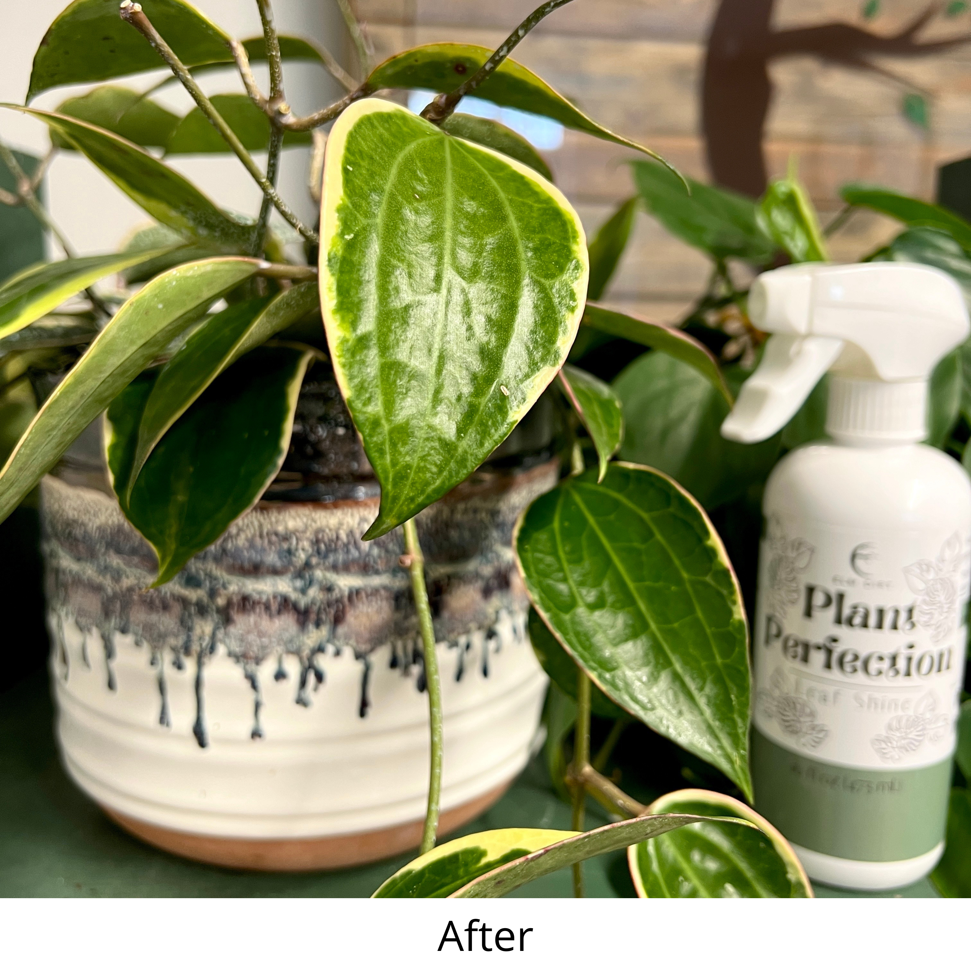 Nellie's Way Beauty, Inc.