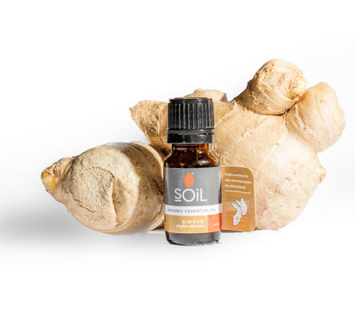 Organic Ginger Essential Oil (Zingiber Officinale) 10ml by SOiL Organic Aromatherapy and Skincare