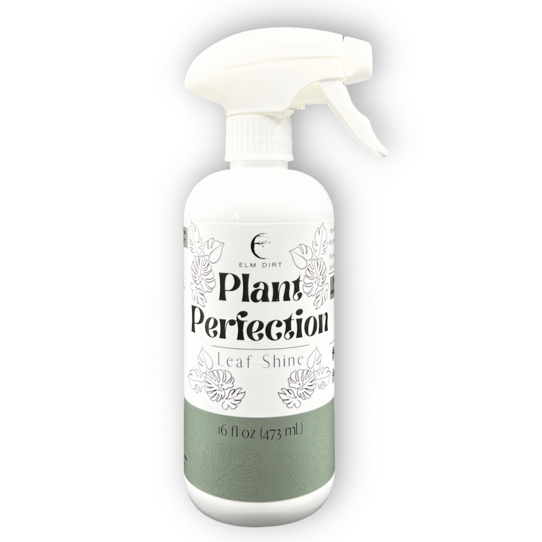 Plant Perfection by Elm Dirt