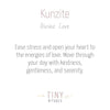 Kunzite Energy Bracelet by Tiny Rituals