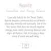 Kyanite Energy Bracelet by Tiny Rituals
