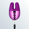 Le Wand Chrome Double Motor Vibrator - Dark Cherry by Condomania.com