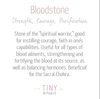 Bloodstone Stone Set by Tiny Rituals