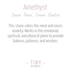 Amethyst Energy Anklet by Tiny Rituals