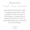 Bloodstone Silver Ring by Tiny Rituals