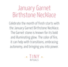 January Garnet Birthstone Necklace by Tiny Rituals