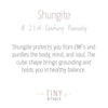 Shungite Worry Stone by Tiny Rituals