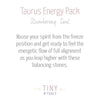 Taurus Bracelet Set by Tiny Rituals