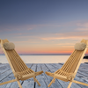 Mr. Woodware - Modern Patio Tamarack Chair -Set of 2 by Mr. Woodware