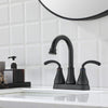 Two Handle Bathroom Sink Faucet with Pop-Up Drain