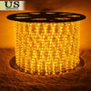 LED Rope Light 110V Garden Indoor Outdoor String Lighting Tube 50/150/100/300 ft by Plugsus Home Furniture