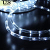 LED Rope Light 110V Garden Indoor Outdoor String Lighting Tube 50/150/100/300 ft by Plugsus Home Furniture