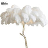 Ostrich Feather Lamp by Quality Home Distribution