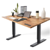 Home Office Standing Desk by EFFYDESK