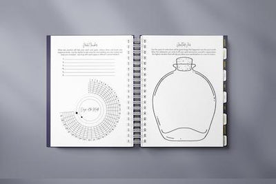 The Digital Manifestation Planner by PleaseNotes